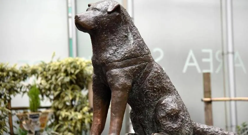 ホテルサーブ渋谷 東京都